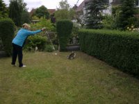 ein Bild aus dem Album